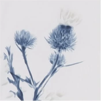 Puma Girls Mattr Lowlands Junior Polo Shirt - Image 3